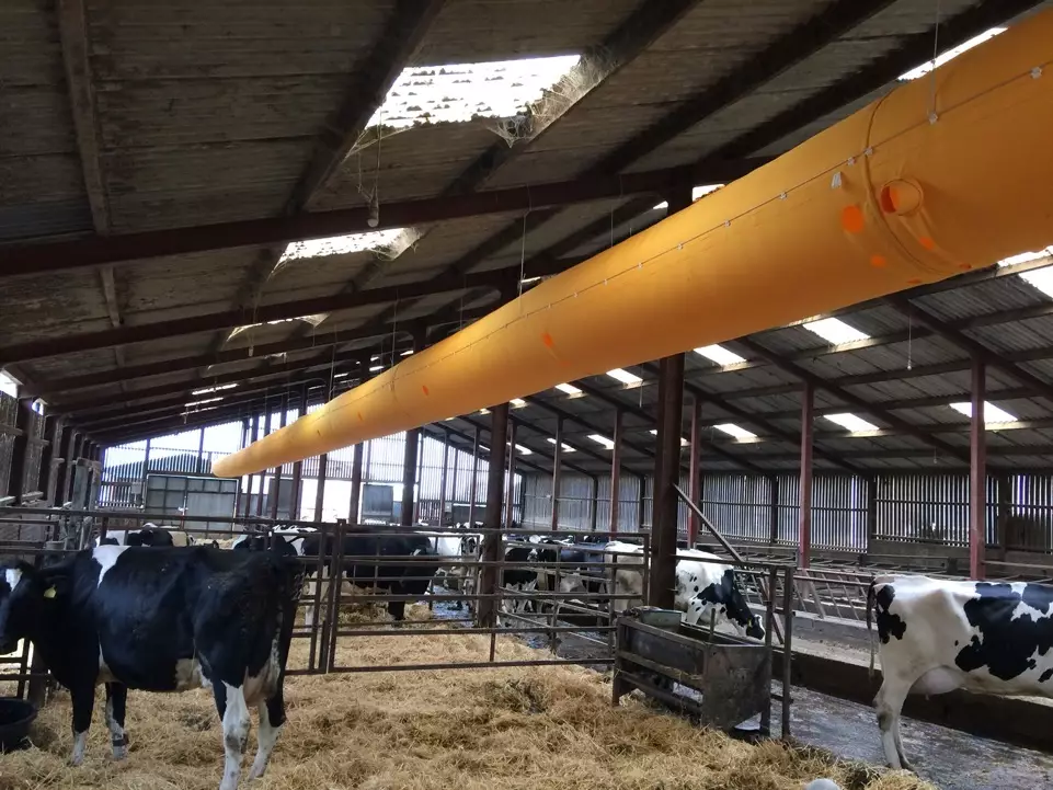 Barn ventilation
